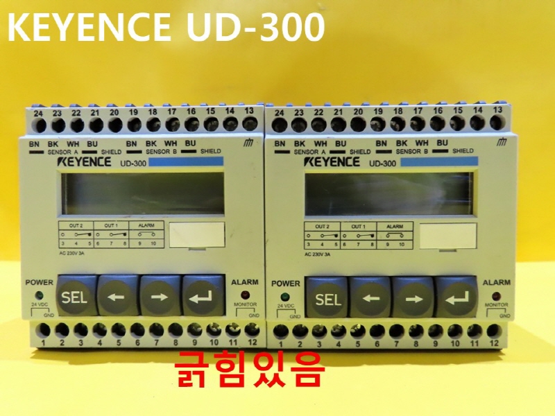 KEYENCE UD-300 ߰ ڵȭǰ ߼